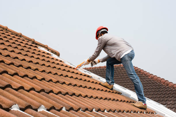 Best Roof Ventilation Installation  in Clermont, GA